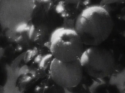applesearth